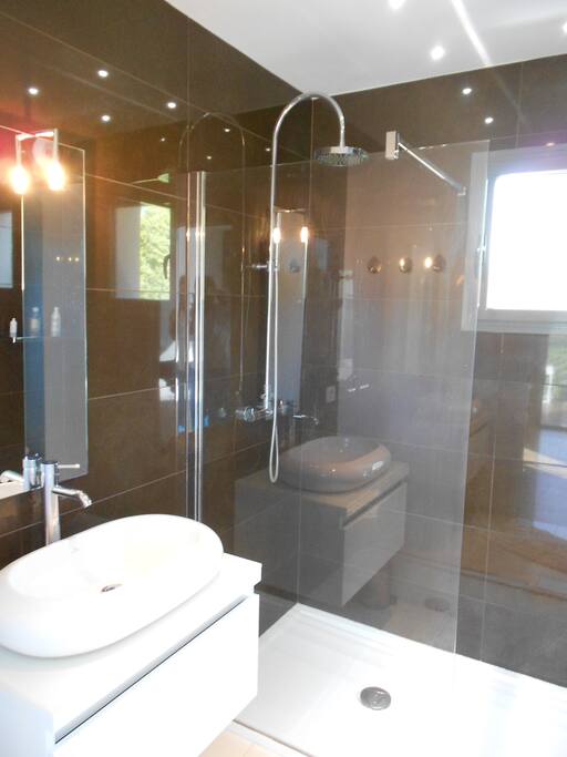 Chambre 2 / la salle d'eau privative