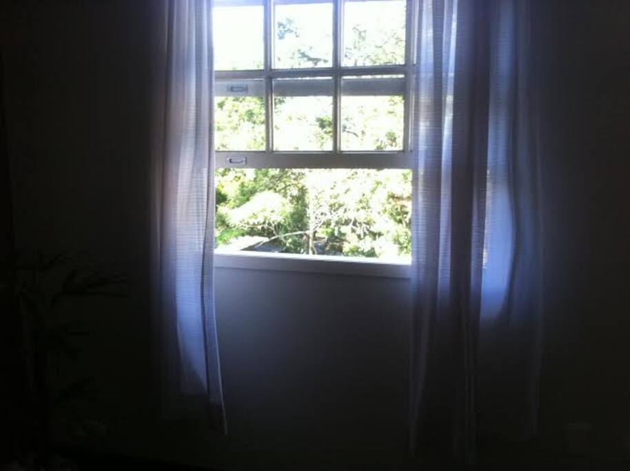 Quarto,Sol da tarde,ao lado passa o rio barulhinho maravilhoso.