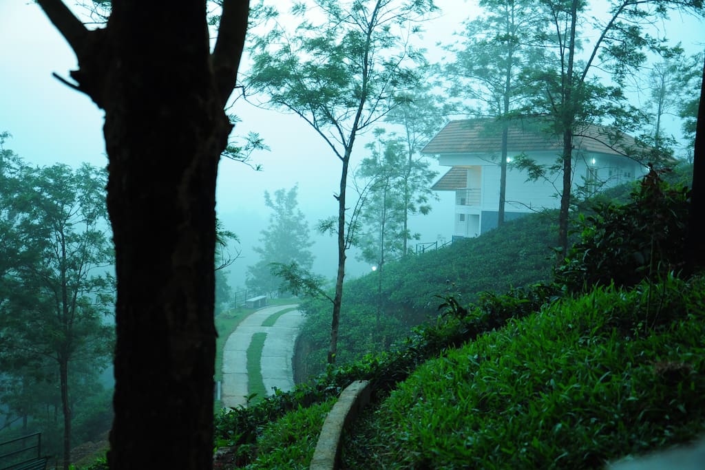 View from the Villa