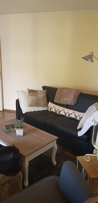 Wohnzimmer mit Schlafsofa