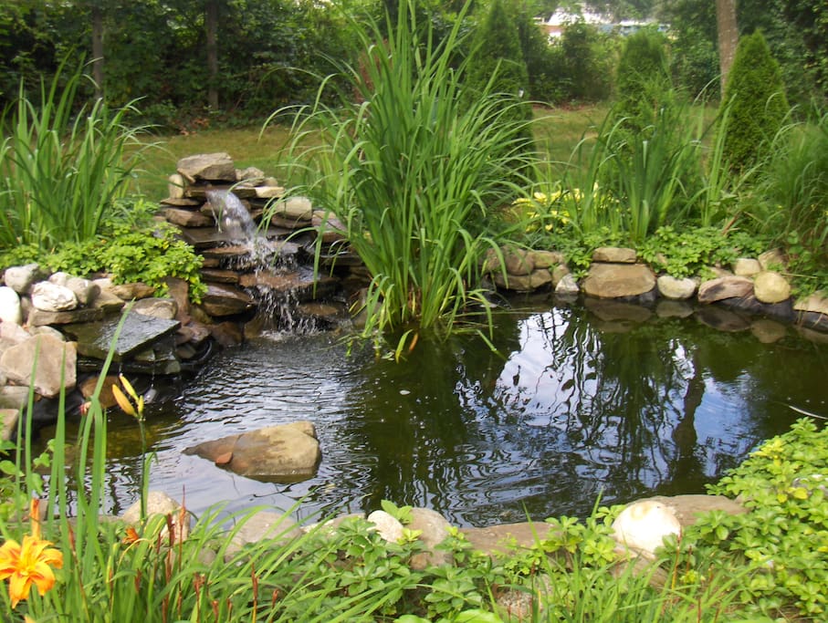 Waterfall fish pond