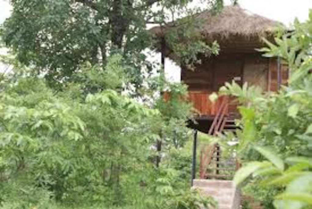 Machaan hut