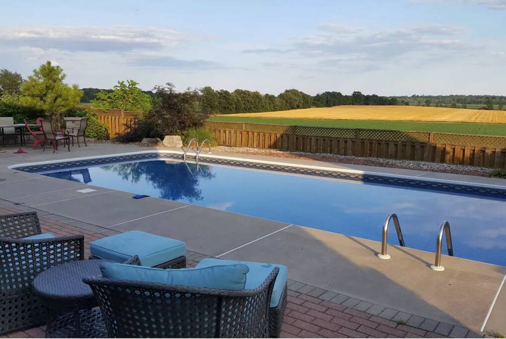 Enjoy the pool and backyard!