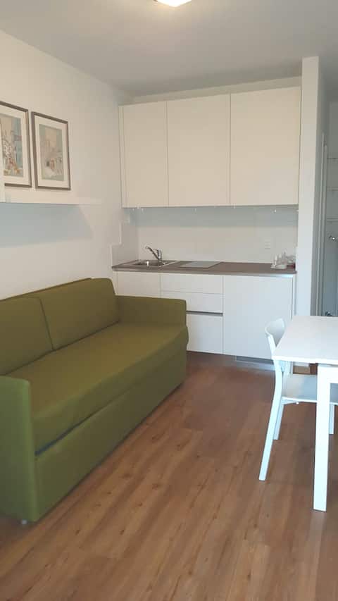 Monolocale studio a Lugano