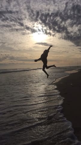 No shoes, No shirt No problem! Gulfview & Gulfside