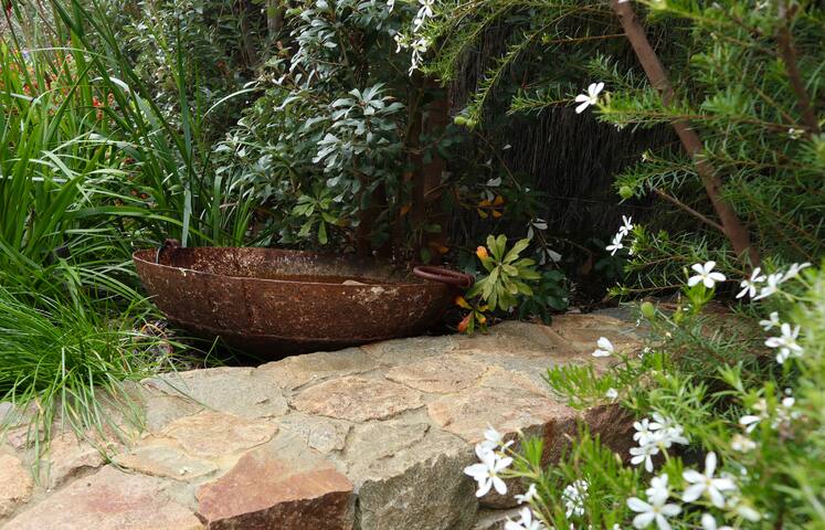 10 Eagle Bay – Beachhouse gallery image 5