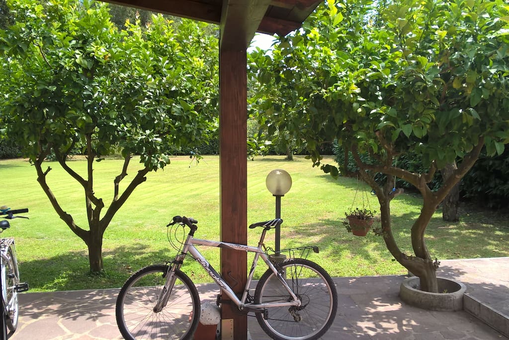 Vista del giardino dal patio