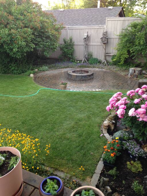 back yard fire pit