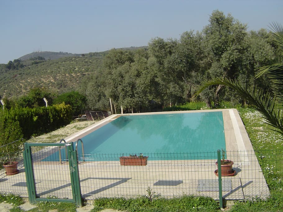 Private Swimming Pool