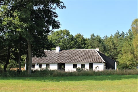 Cottage with large plot in the middle of the forest
