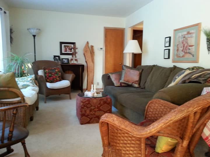 Accogliente salotto per tutti, incluso l'host.