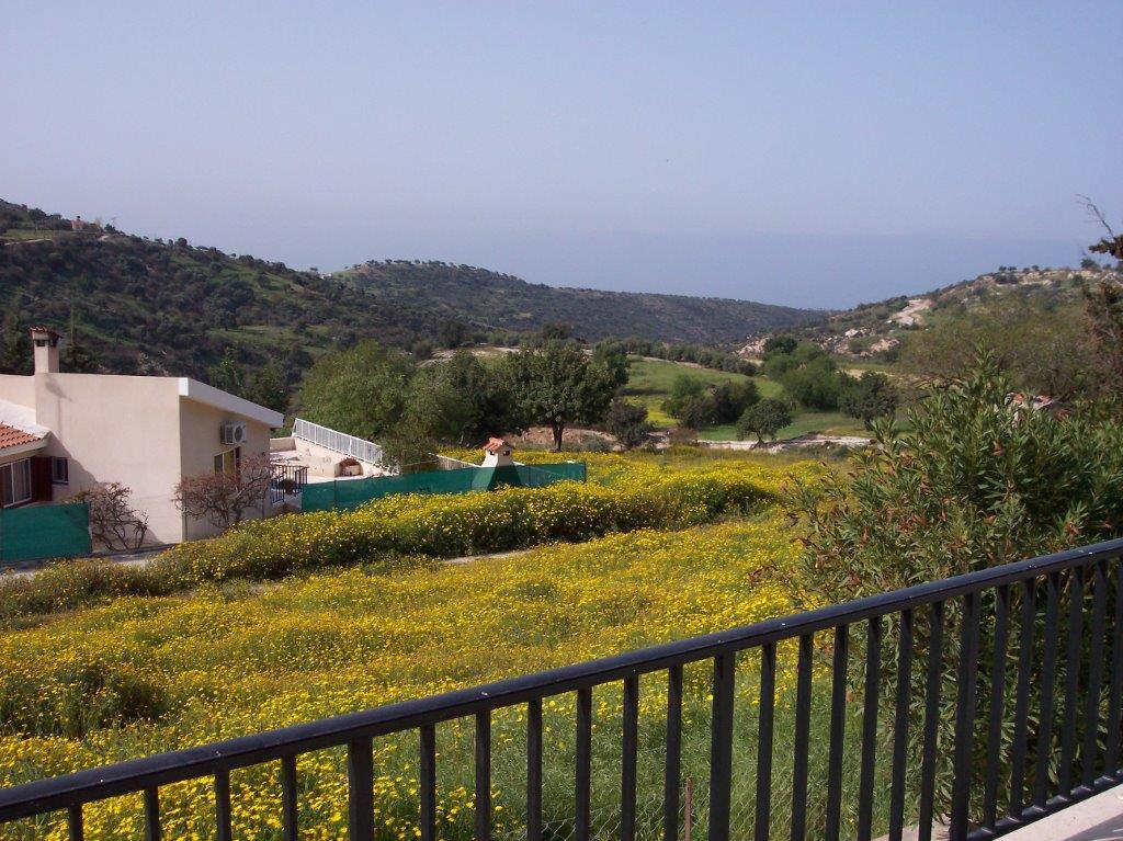 A view of rolling hills is captured, featuring a field of vibrant yellow wildflowers under a clear blue sky. In the distance, the horizon meets the calm sea, framed by lush greenery and gently sloping landscapes, enhancing the natural beauty of the surroundings.