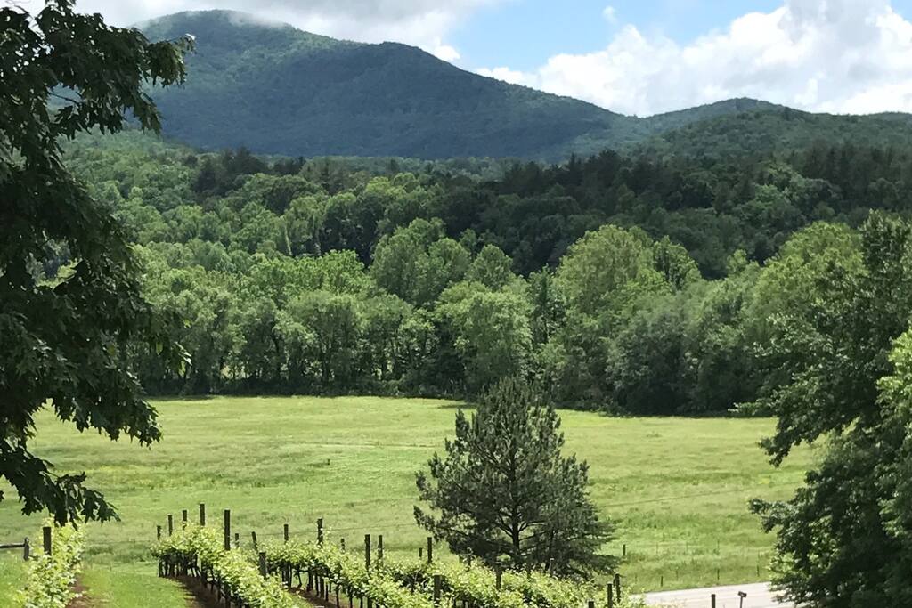 View from deck