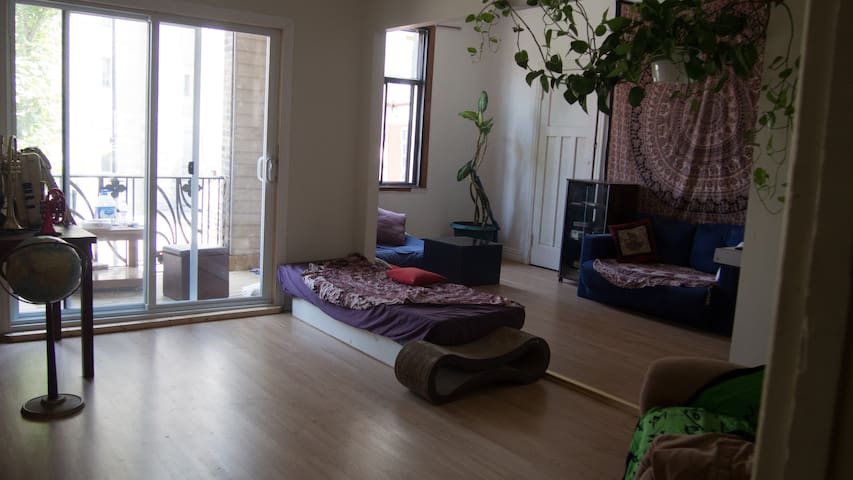 Chambre privée ds immense appart! metro Jean-Talon