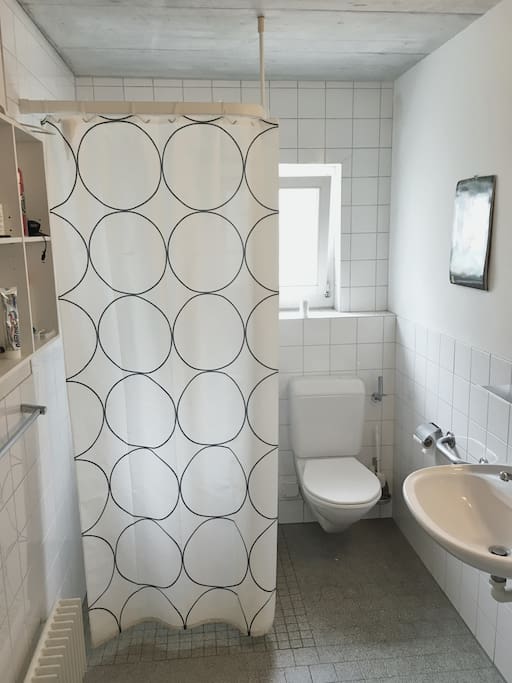 bathroom with toilet and shower