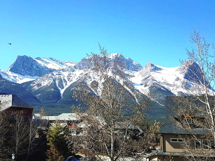 Snow-capped mountains rise prominently against a clear blue sky. Tall trees and various buildings are visible in the foreground, with the rugged terrain creating a striking backdrop of nature's beauty.