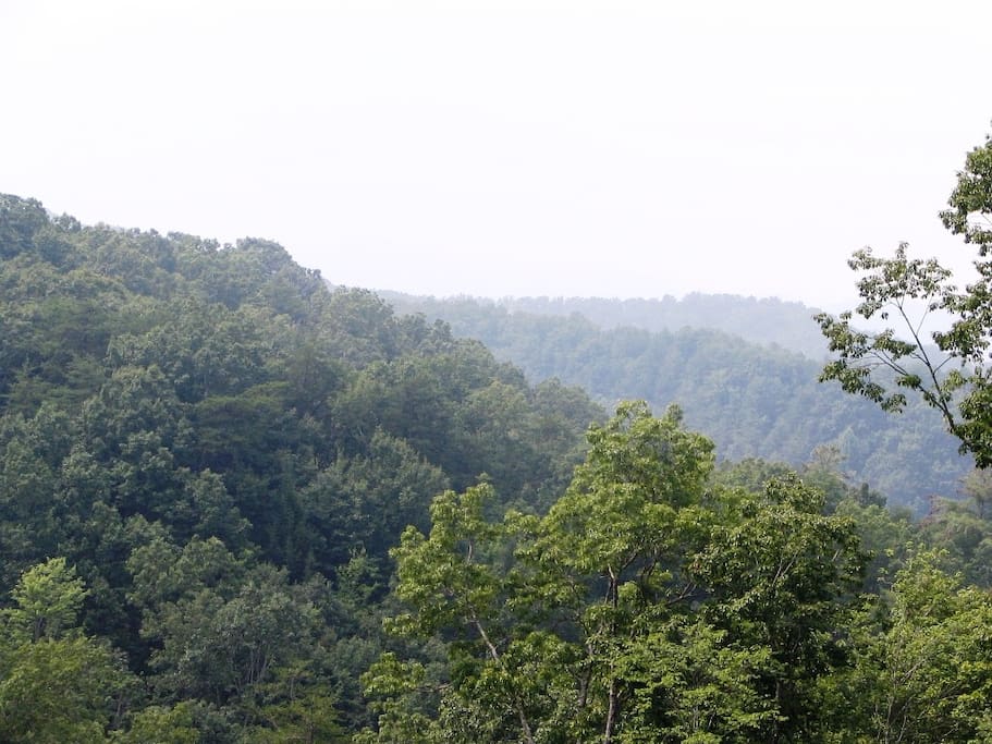 View from front porch
