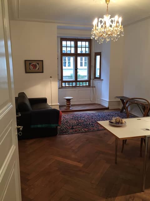 Lovely 1-bedroom art-nouveau flat in Kleinbasel