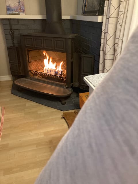 Top performing Airbnb: Quiet & Cozy Main Street Retreat in Springfield