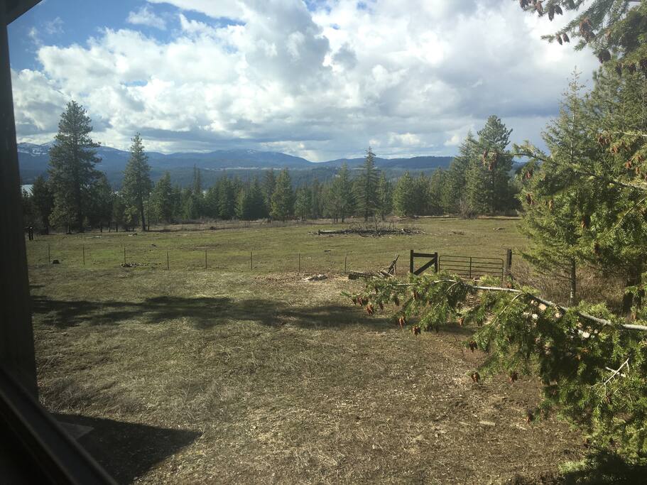 The view