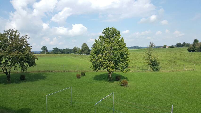 Airbnb Bad Tolz Holiday Rentals Places To Stay Bavaria