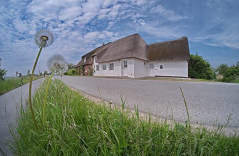 Top performing Airbnb: Fischerkate on the North Frisian island of Pellworm in Pellworm