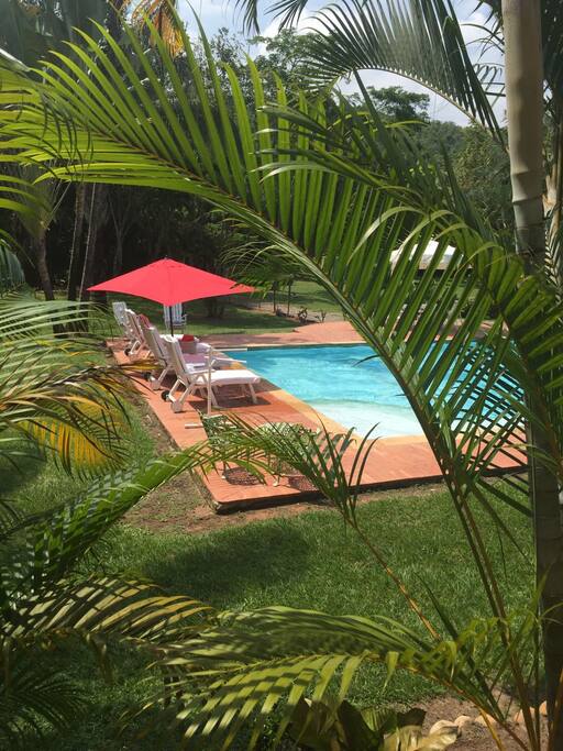 Asoleadoras junto a la piscina