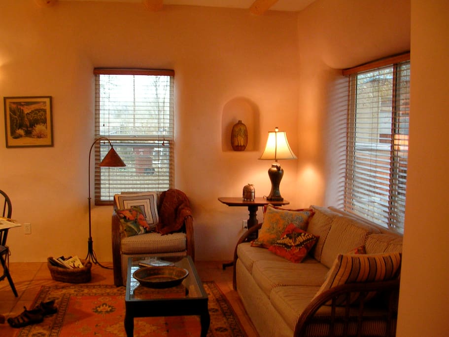 cozy sitting room, TV, lots of books