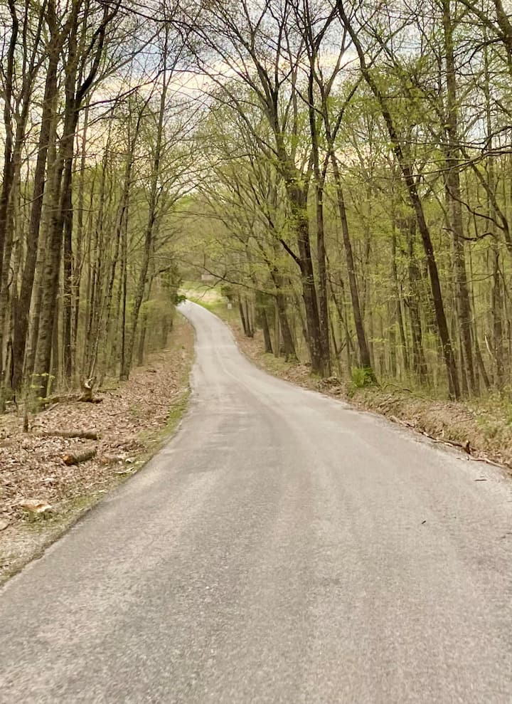 Top 12 PetFriendly Cabins Near French Lick, Indiana Updated 2024