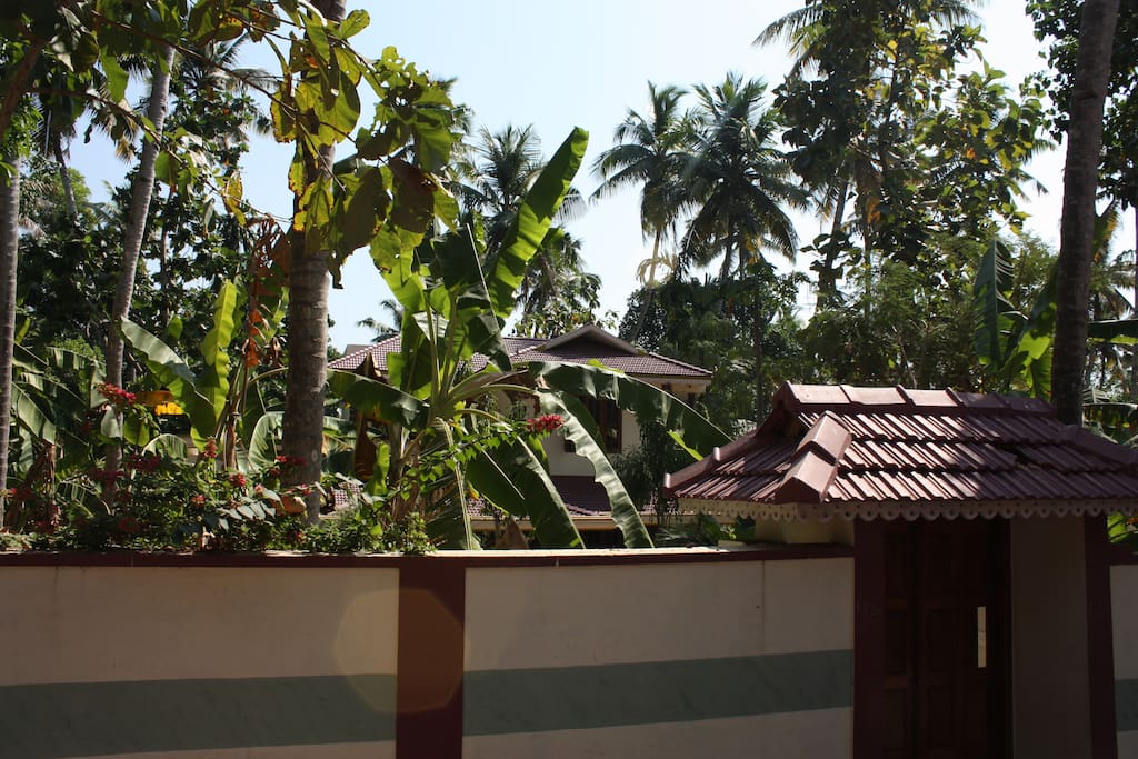 outside gate