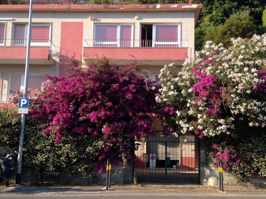 Vista della casa dalla spiaggia
