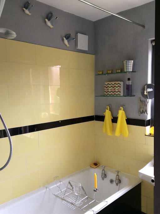 The house bathroom