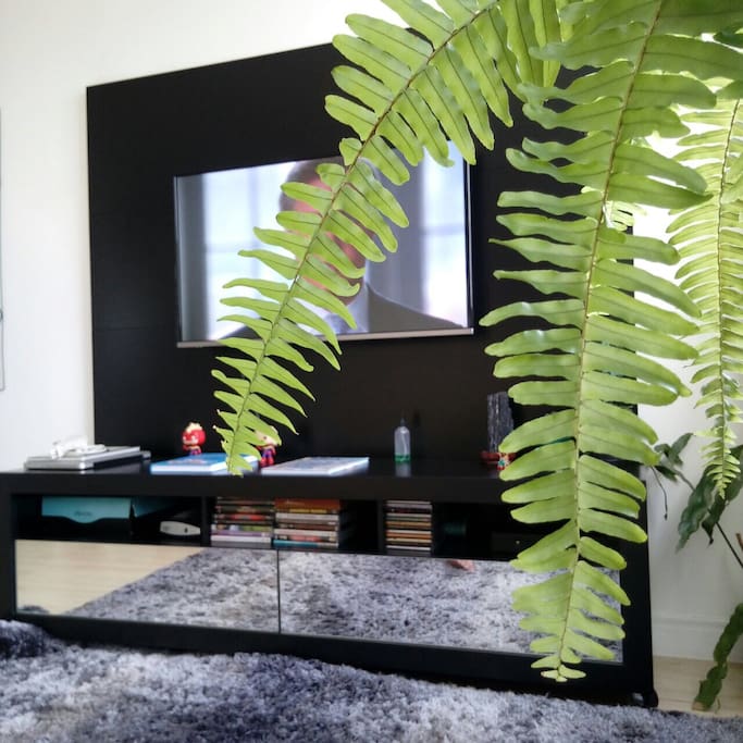 Esta é a sala de TV