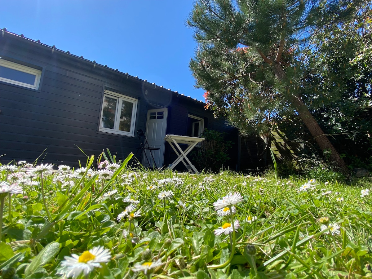 A charming outdoor area is depicted, featuring a lush green lawn scattered with white daisies. The studio's exterior, painted in dark tones, is visible alongside a light-colored outdoor table and a nearby tree, all under a clear blue sky.