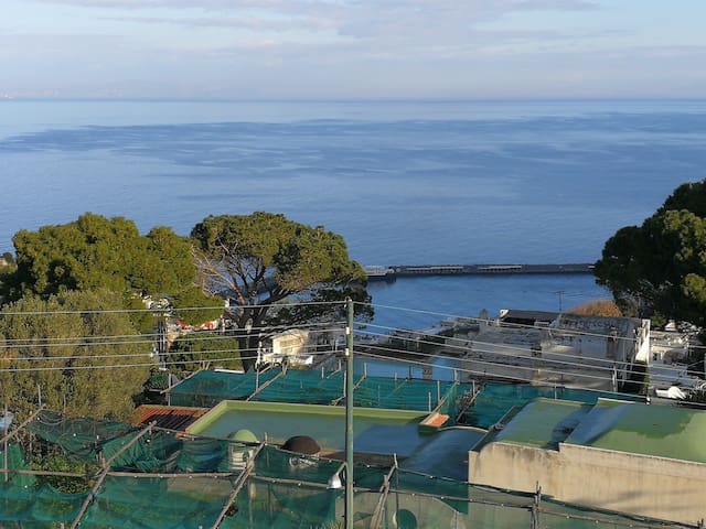 listing_image