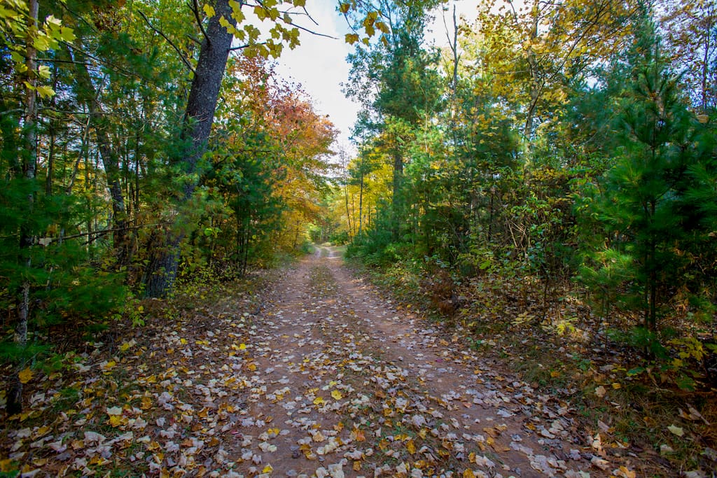 Wood River Retreat Seclusion near the St Croix Cabins for Rent in