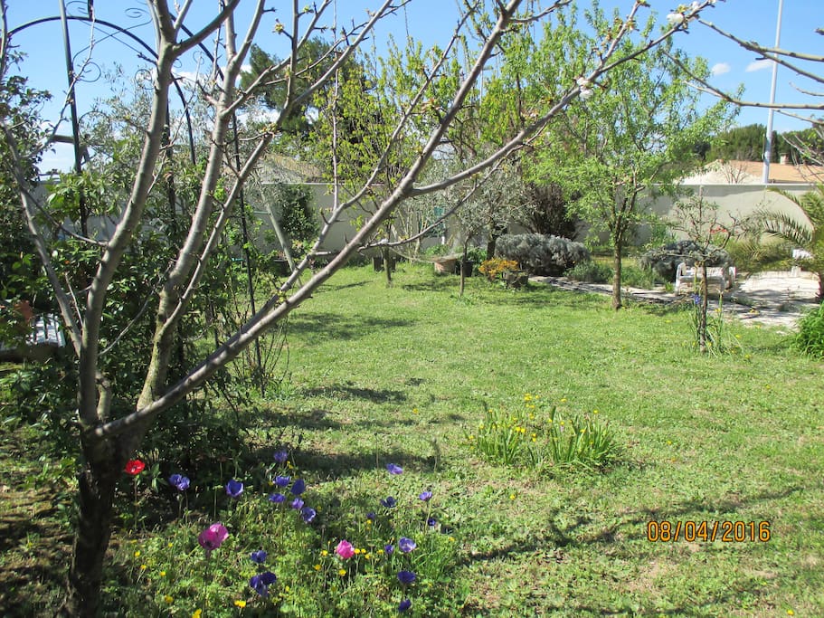 Grand jardin arboré.