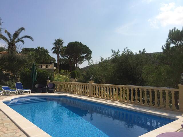 Villa Florencia gallery image 5