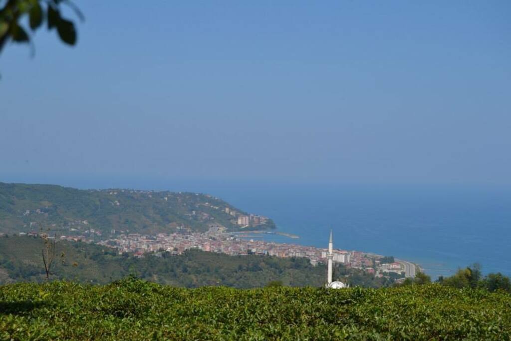 Manzaramız