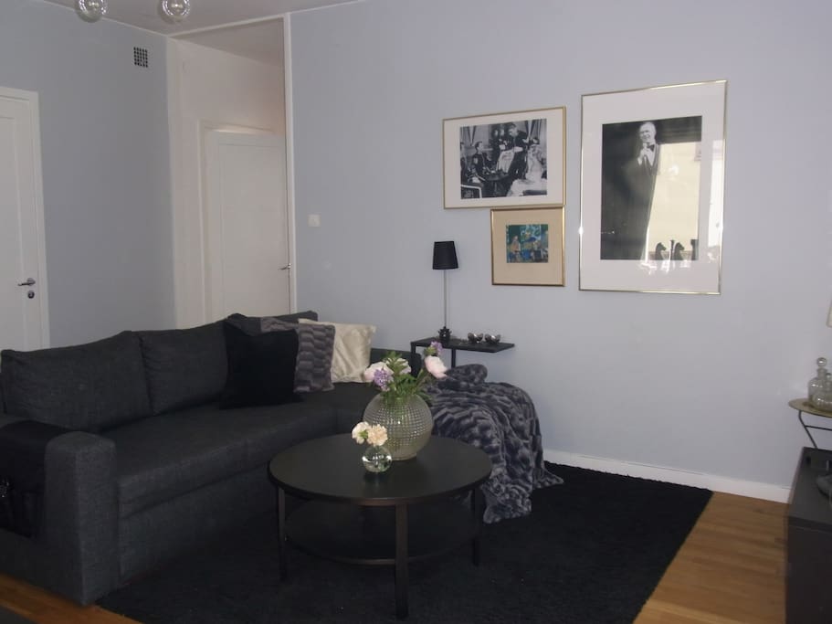 Living room with a bed-sofa...