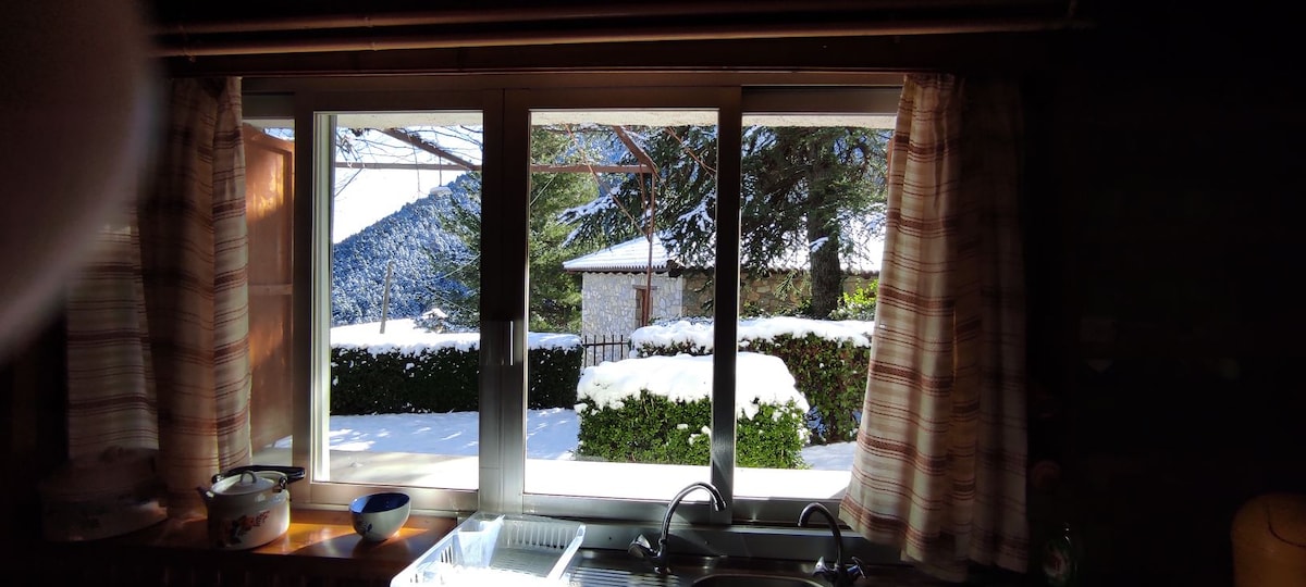 A large window offers a view of a snow-covered landscape outside, framed by checkered curtains. In the foreground, a sink is visible, accompanied by kitchen items, while a serene scene of trees and a stone structure is seen through the glass.
