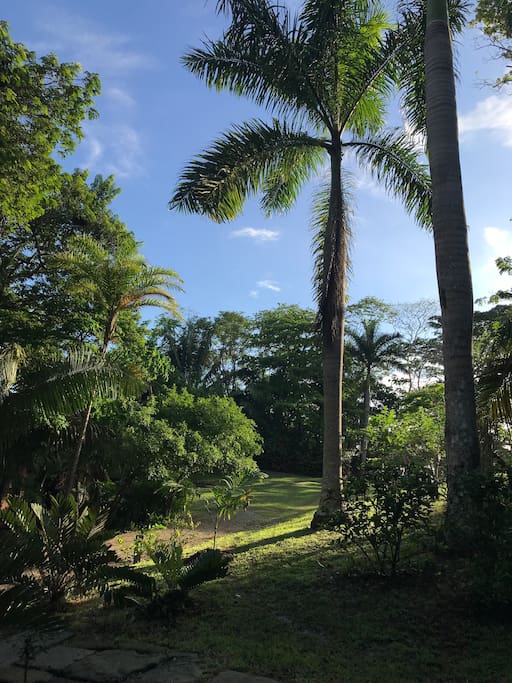 Path and view towards ocean (5 minute walk)