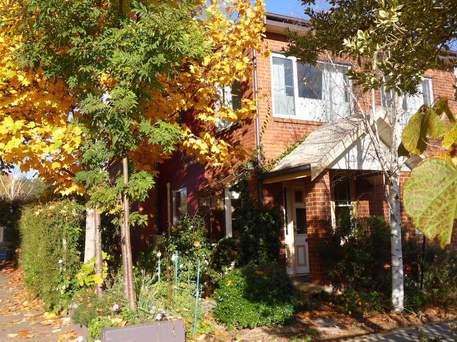 The Lawson building in Autumn