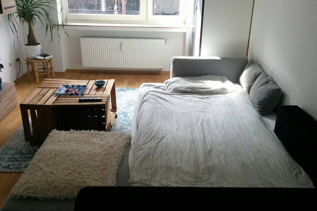 main room - bed