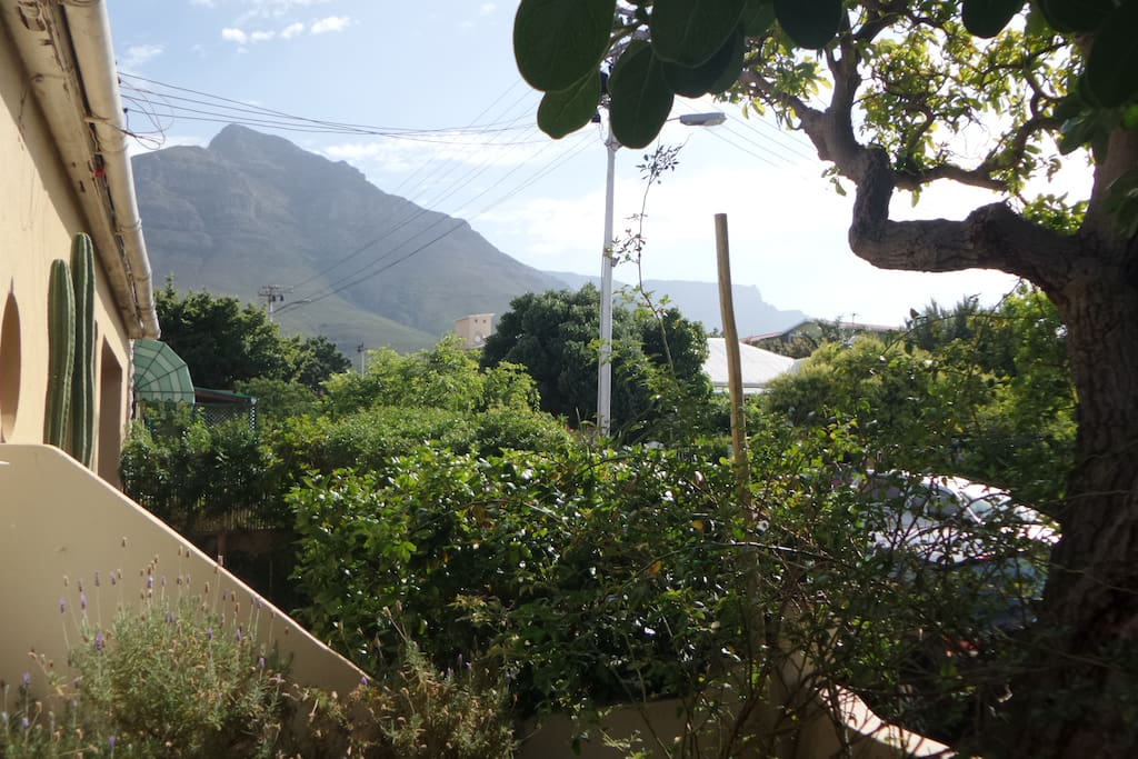 Table Mountain and Devil's Peak from the front yard