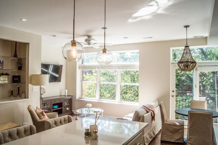 Beautifully Renovated 2BR in Historic Lincoln Park