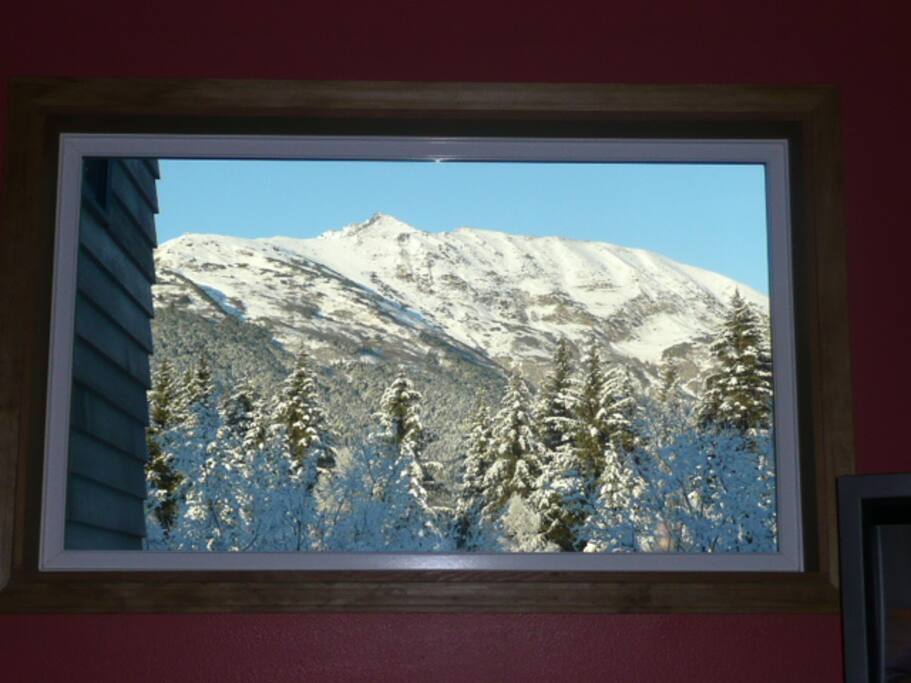 Mountain View from the Living room