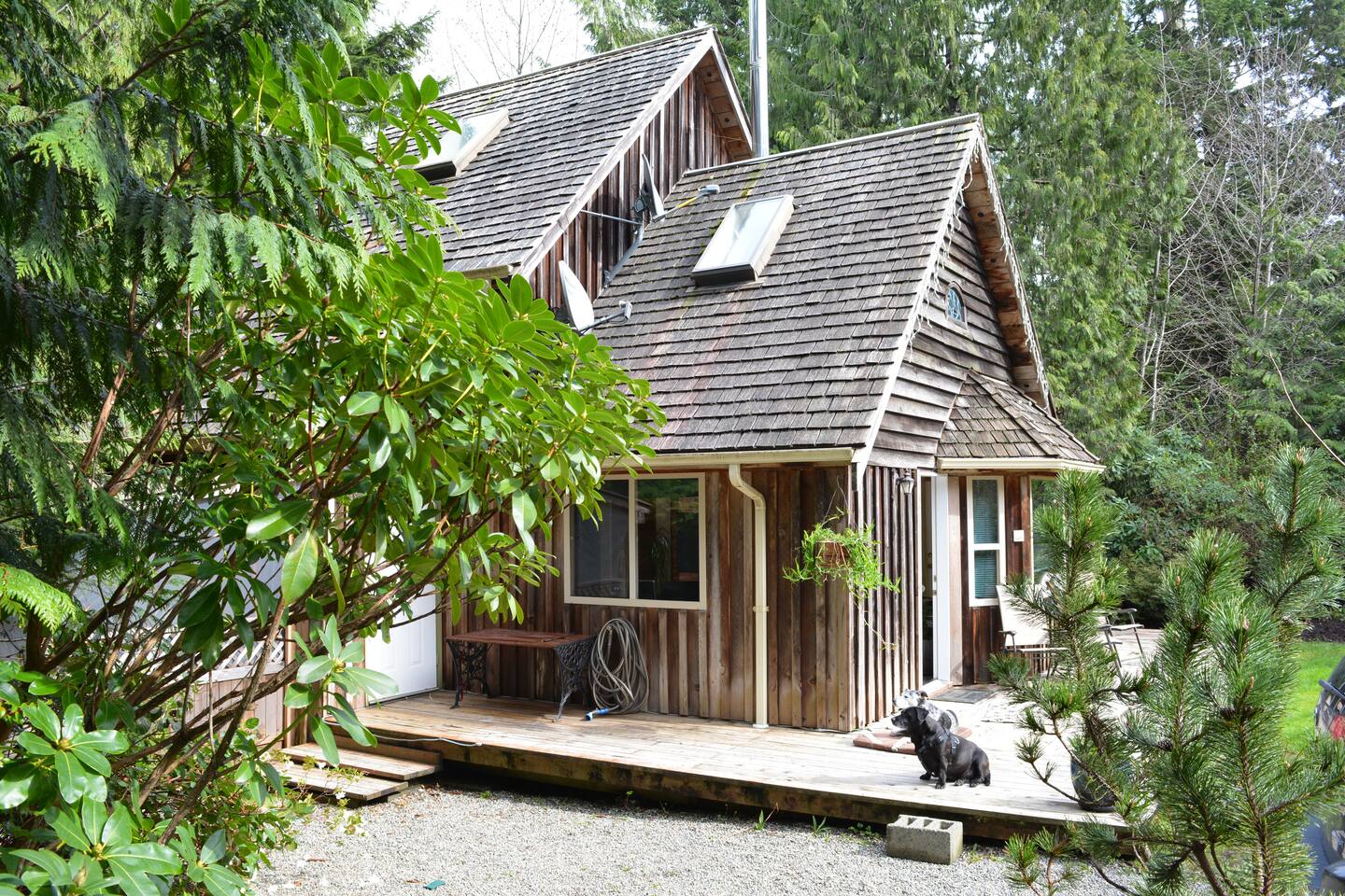 Private Cedar Cottage With Hot Tub Cabins For Rent In Tofino