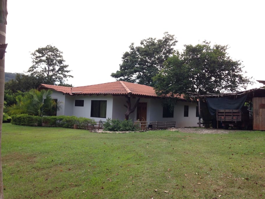 Jardín