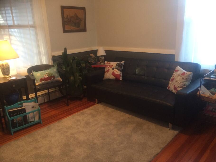 Living room, smart tv, cards, board games, books